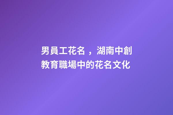 男員工花名，湖南中創教育職場中的花名文化